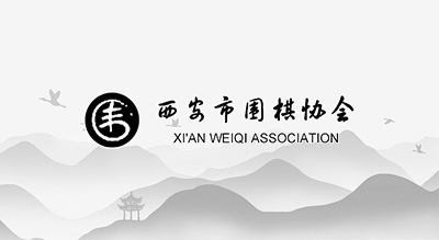 省汽車工程學(xué)會(huì)專家組來桐對(duì)接“科創(chuàng)安徽”工作