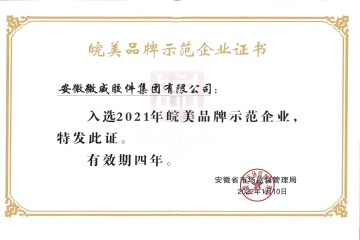 皖美品牌示范企業(yè)