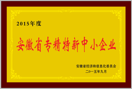 安徽省專精特新中心企業(yè)
