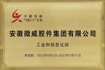 國家專精特新小巨人企業(yè)