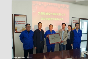 安徽微威膠件集團(tuán)有限公司榮獲安徽省專利優(yōu)秀獎(jiǎng)