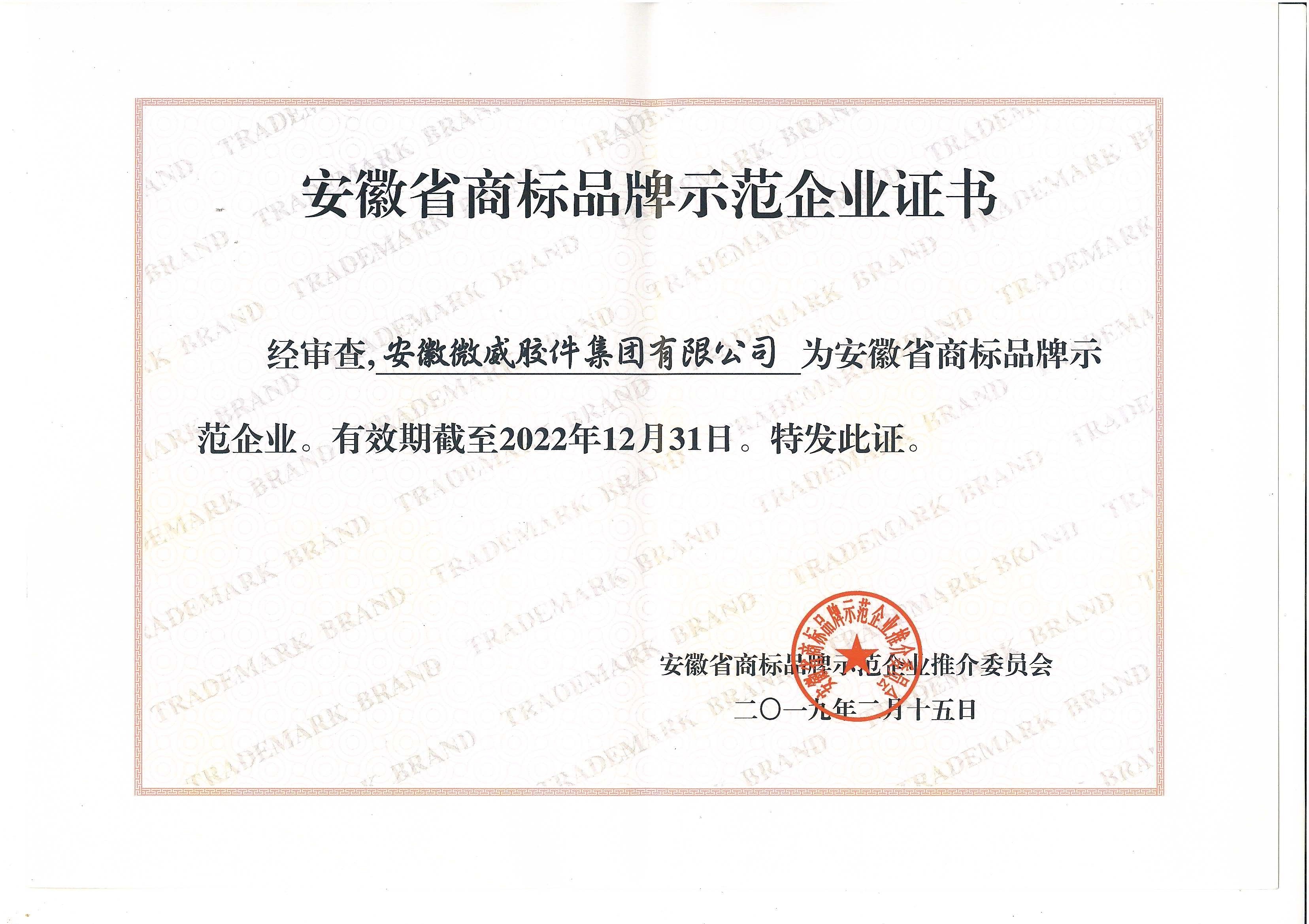 安徽省商標(biāo)品牌示范企業(yè).jpg